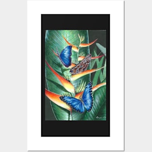 heliconia and morphos Posters and Art